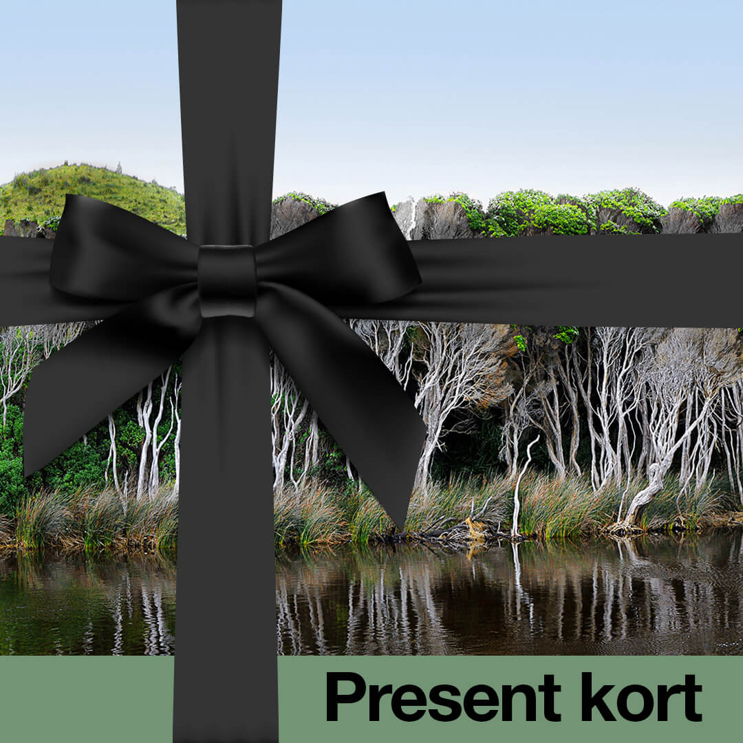 Miniatyrbild 3